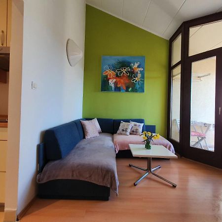 Janja Apartment Novigrad  Bagian luar foto
