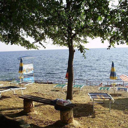 Janja Apartment Novigrad  Bagian luar foto