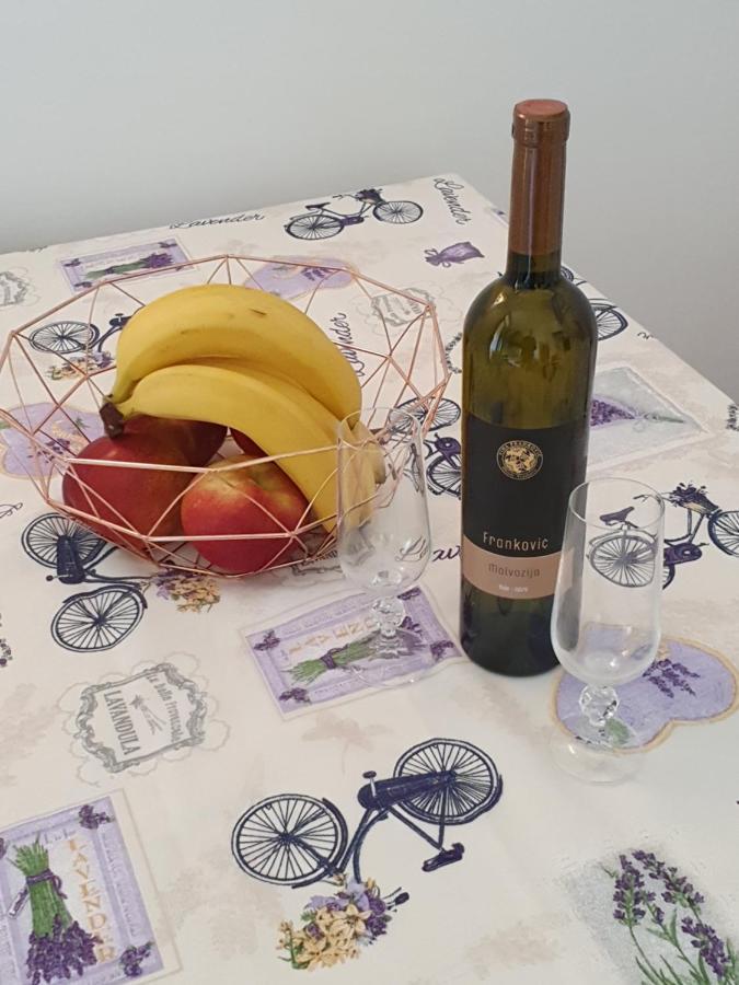 Janja Apartment Novigrad  Bagian luar foto